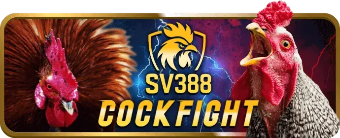 Bước 2: Điền thông tin cá nhân vào biểu mẫu đăng ký Betvip Login
